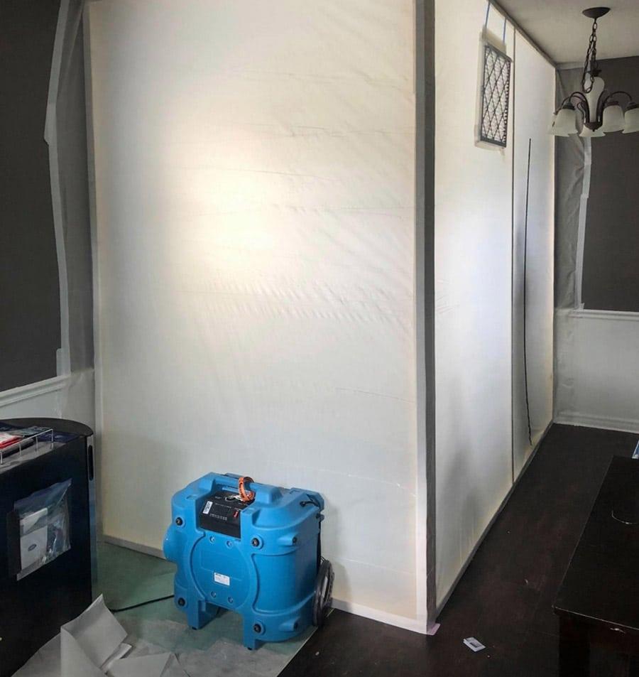 Mold growth on wall surface