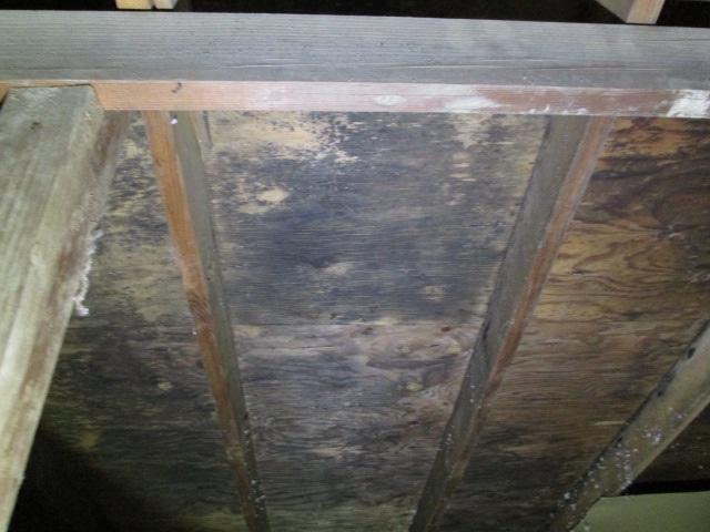 Mold inspection and air quality testing