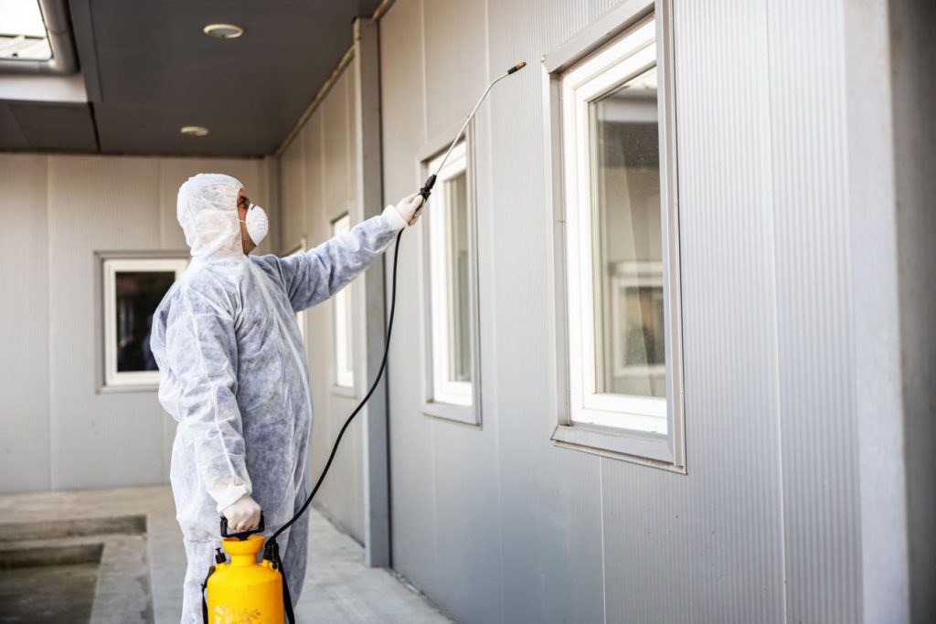 Biohazard cleanup professionals in protective gear